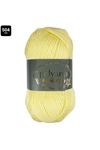 Polyanna Family Yarn Anti Pilling Örgü İpi Renk No:504 Sarı